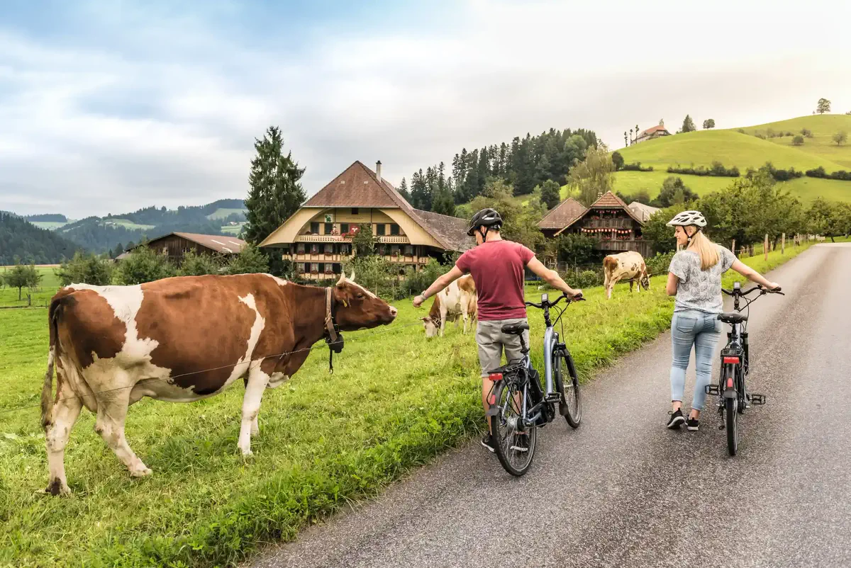 Sustainable Travel